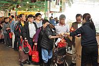 DSC 0523